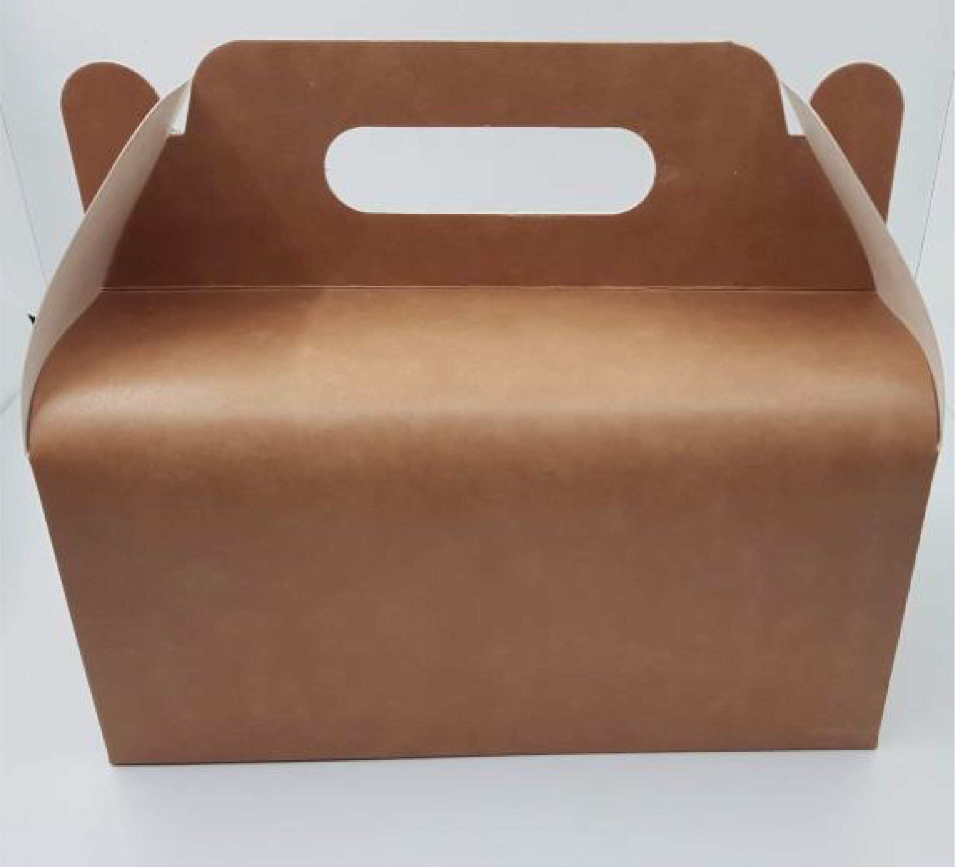 Çanta Tipi Hamburger Kutu